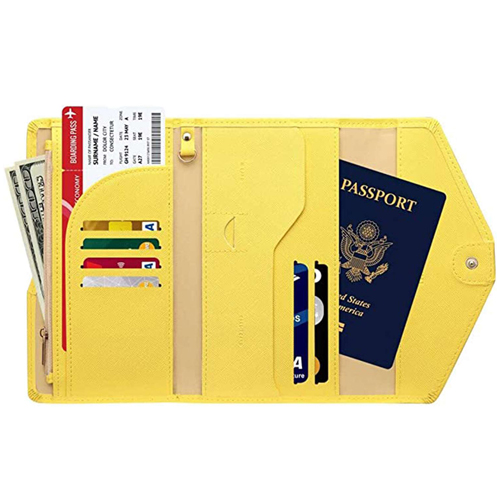 passport-folder